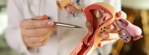 ginekologia Innovation Clinic Wrocław